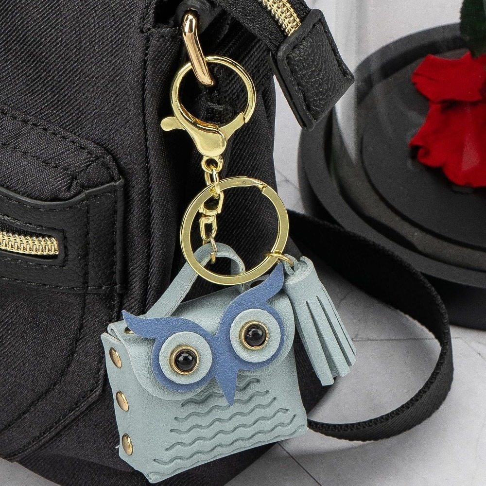 Mini Coin Purse Keychain Cute  - Backpack Insert Organizer recension och pris